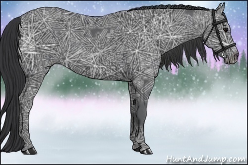 Horse Color:Black Ice