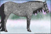 Horse Color:Black Ice 