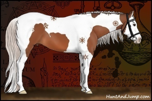 Horse Color:Silver Bay Splash Tobiano 