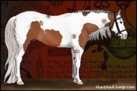Horse Color:Silver Bay Splash Tobiano 