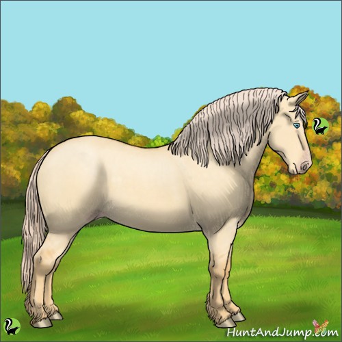 Horse Color:Gold Cream Champagne Dun 