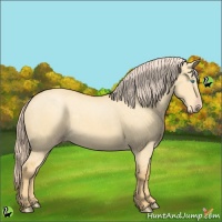 Horse Color:Gold Cream Champagne Dun