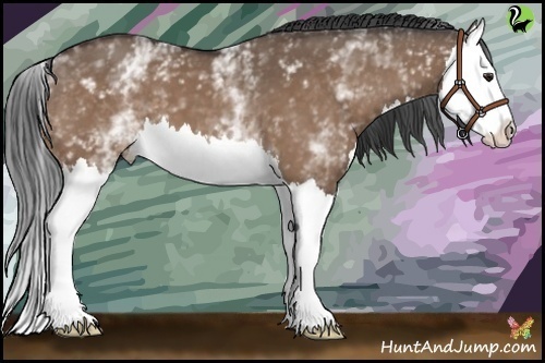 Horse Color:White Spotted Brown Dun Splash 