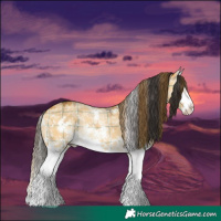 Horse Color:Plaid Buckskin Dun Sabino Splash