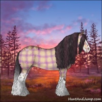Horse Color:Plaid Buckskin Roan Dun Splash
