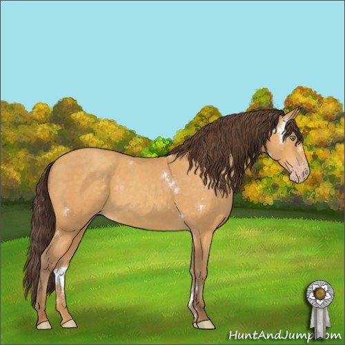 Horse Color:White Spotted Amber Cream Champagne Rabicano