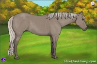 Horse Color:Silver Grullo Sabino 