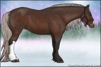 Horse Color:Silver Brown Appaloosa 