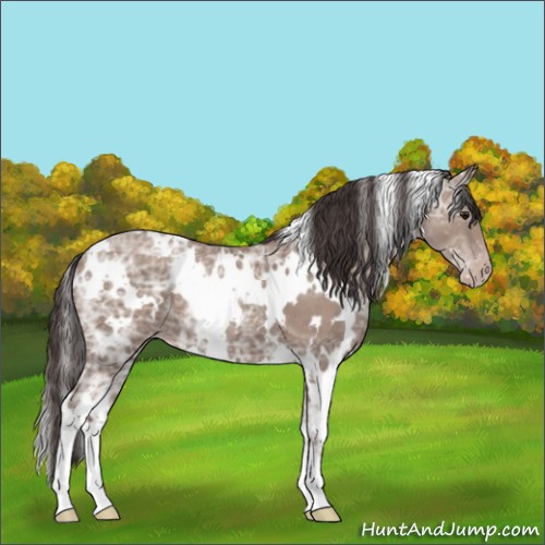 Horse Color:White Spotted Classic Champagne Ice