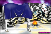 Horse Color:White Spotted Black Splash Blanket
