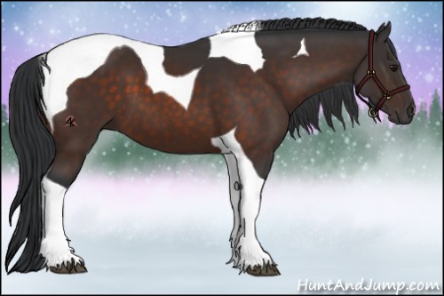 Horse Color:Brown Tobiano