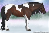 Horse Color:Brown Tobiano