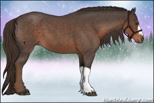 Horse Color:Liver Red Roan 