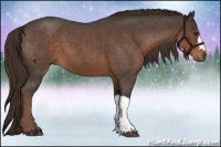 Horse Color:Liver Red Roan