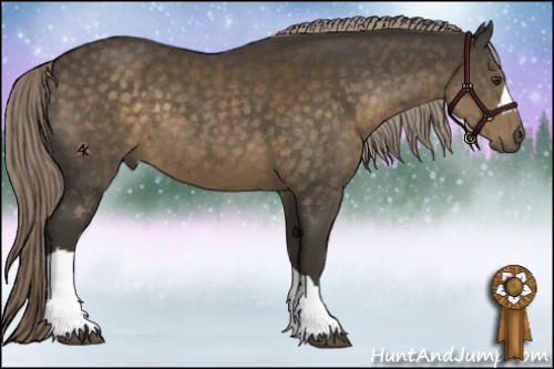 Horse Color:Chocolate Palomino 