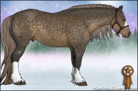Horse Color:Chocolate Palomino 