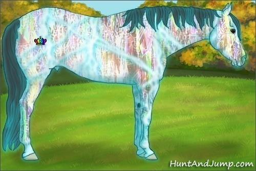 Horse Color:Thunderstruck Bay Ice Rabicano