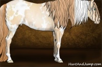 Horse Color:White Spotted Smoky Black Pearl Rabicano 