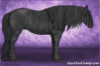Horse Color:Black  Brindle