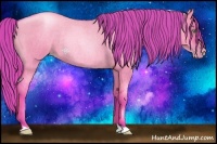 Horse Color:Watercolor Gold Champagne Roan Dun Rabicano 