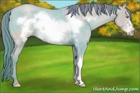 Horse Color:Watercolor Amber Champagne Roan Frame Rabicano 