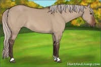 Horse Color:Silver Brown Dun
