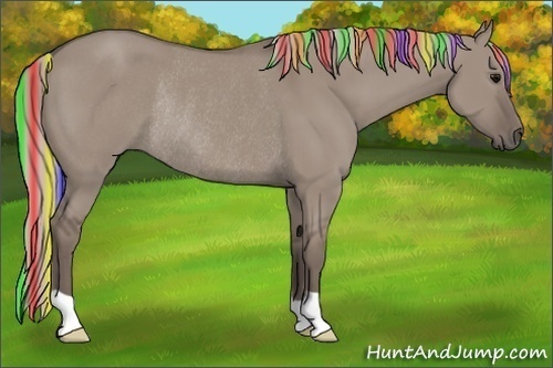 Horse Color:Painted Silver Grullo Rabicano