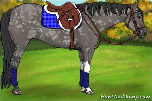 Horse Color:Grullo Ice 