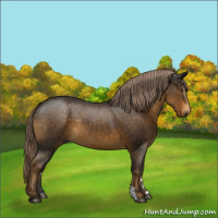 Horse Color:Gray Chocolate Palomino