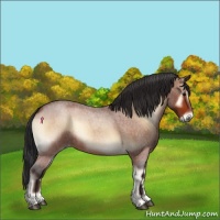 Horse Color:Bay Roan Onyx Rabicano 