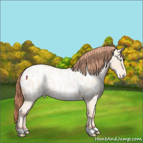 Horse Color:Amber Cream Champagne Roan Pearl Near Leopard 
