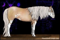 Horse Color:Silver Black Pearl Sabino 