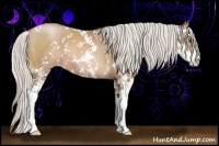 Horse Color:Silver Black Pearl Sabino 