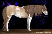 Horse Color:Black Pearl Sabino 