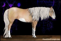Horse Color:Silver Black Pearl Sabino 