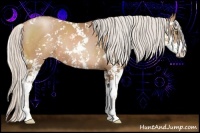 Horse Color:Silver Black Pearl Sabino 
