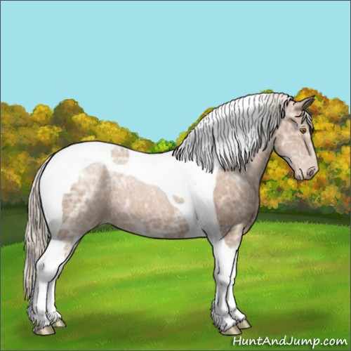Horse Color:Silver Black Ice Pearl Tobiano 