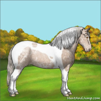 Horse Color:Silver Black Ice Pearl Tobiano