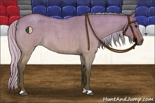 Horse Color:Silver Bay Roan Dun 