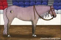 Horse Color:Silver Bay Roan Dun 