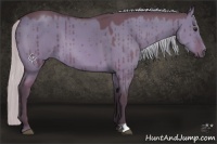 Horse Color:Silver Bay Dun Brindle 