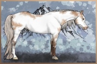 Horse Color:White Spotted Silver Bay Dun Frame Rabicano 
