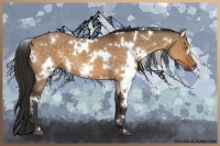 Horse Color:White Spotted Buckskin Dun 