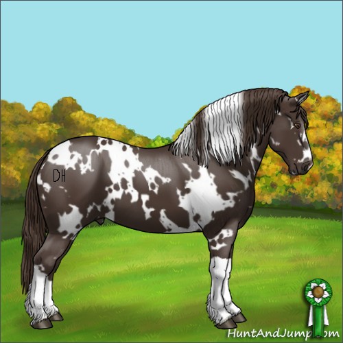 Horse Color:White Spotted Liver Chestnut 