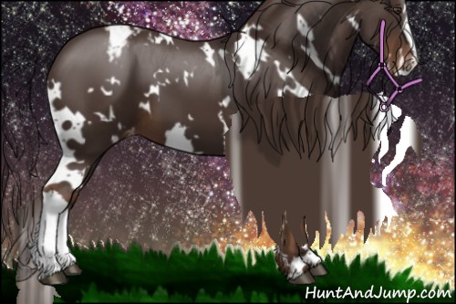 Horse Color:White Spotted Liver Chestnut Appaloosa