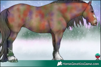 Horse Color:Nacre Bay Rabicano 
