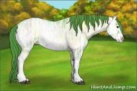 Horse Color:Watercolor Blue Onyx Ice Frame Rabicano