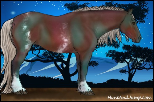 Horse Color:Gray White Spotted Silver Bay