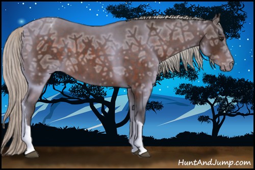 Horse Color:Silver Brown Ice Appaloosa