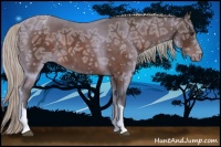 Horse Color:Silver Brown Ice Appaloosa 